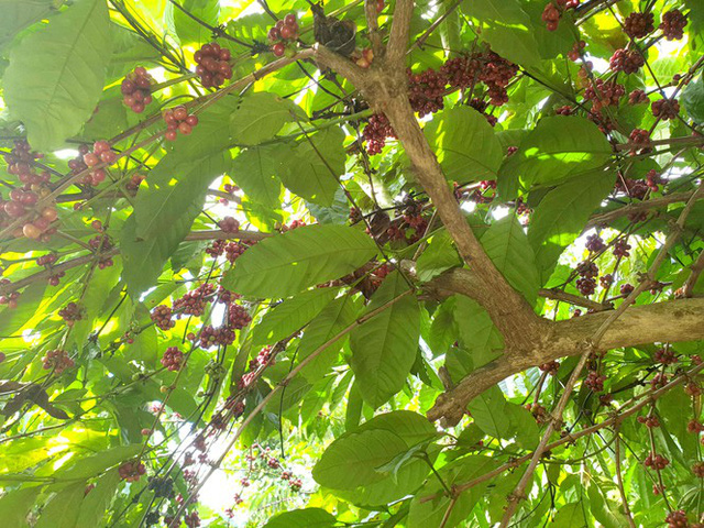 Bản tin thị trường ngày 26/3/2020