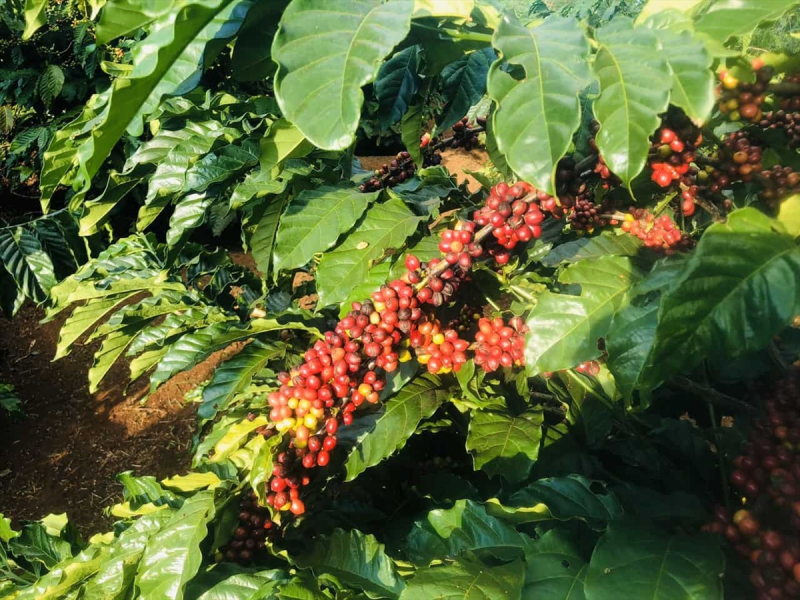 Bản tin thị trường ngày 08/4/2020