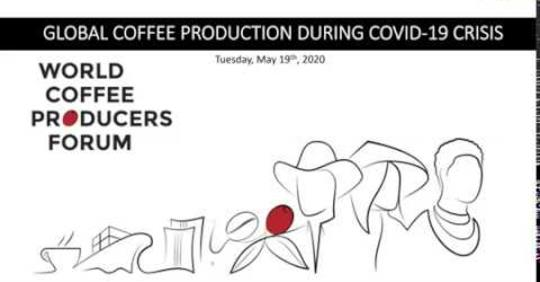 Hội nghị trực tuyến các nước sản xuất cà phê