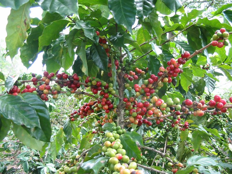 Bản tin thị trường ngày 27/5/2020