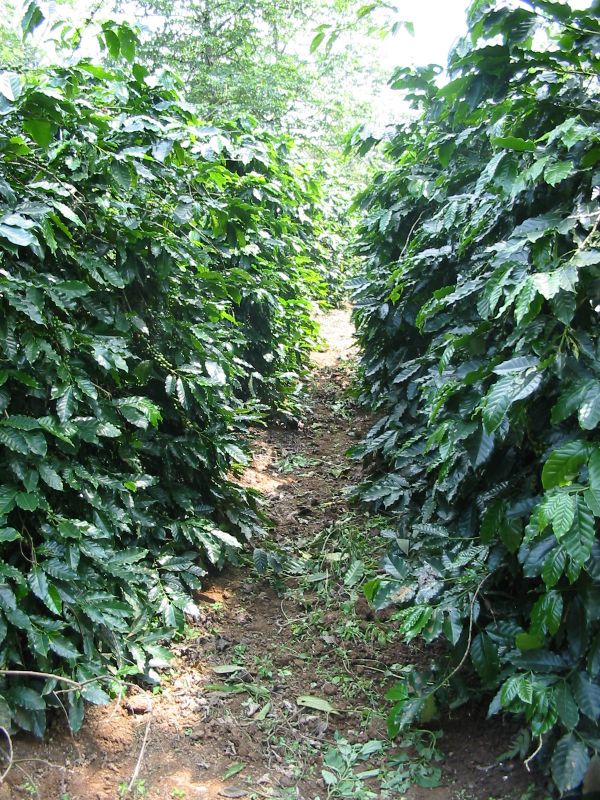 Bản tin thị trường ngày 08/6/2020