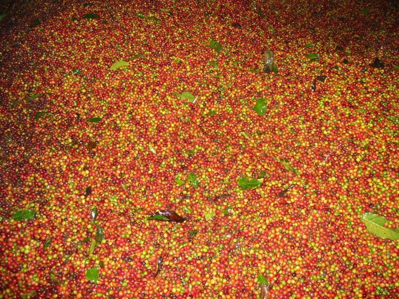 Bản tin thị trường ngày 10/6/2020