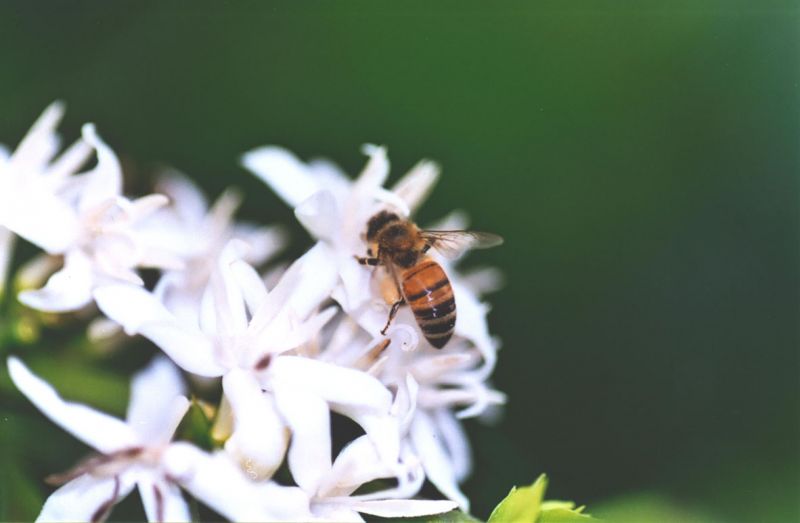 Bản tin thị trường ngày 28/7/2020