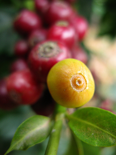 BẢN TIN THỊ TRƯỜNG NGÀY 19/3/2021