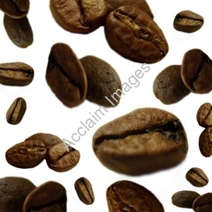 BẢN TIN THỊ TRƯỜNG NGÀY 19/6/2021