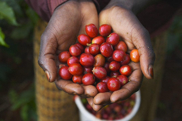 BẢN TIN THỊ TRƯỜNG NGÀY 16-12-2021