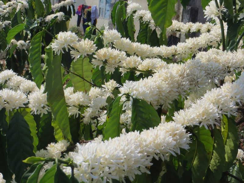 BẢN TIN THỊ TRƯỜNG NGÀY 21-12-2021