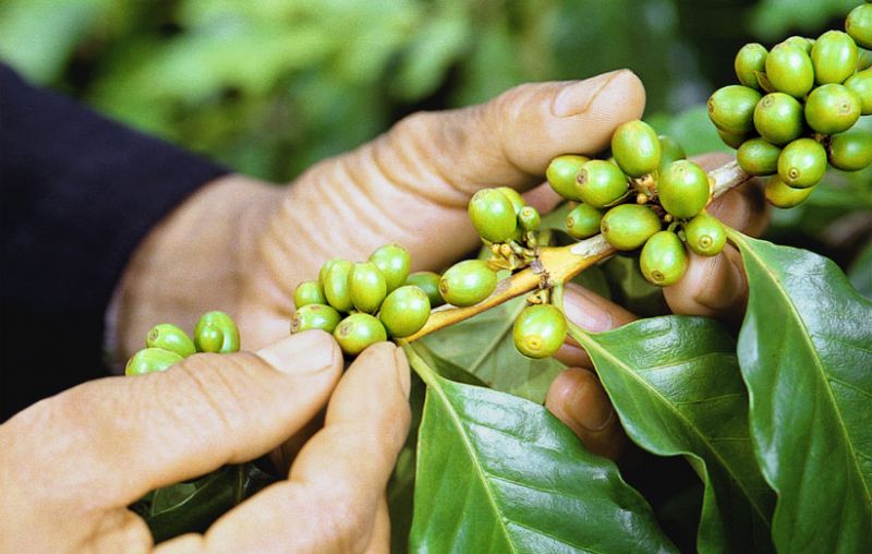 BẢN TIN THỊ TRƯỜNG NGÀY 05/01/2022