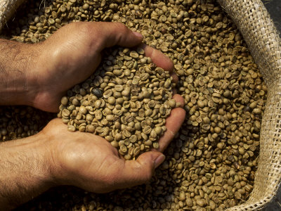 BẢN TIN THỊ TRƯỜNG NGÀY 19/01/2022