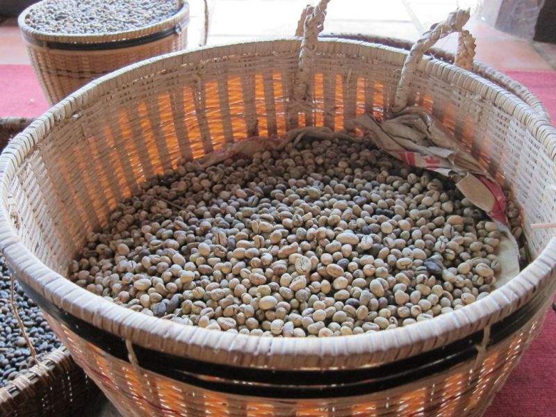 GIÁ CÀ PHÊ NỘI ĐỊA SÁNG NGÀY 20/01/2022