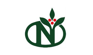 Công ty TNHH NKG Việt Nam